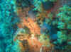 Resize of IMG_1780.JPG (139203 Byte)