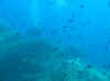 Resize of IMG_1813.JPG (54903 Byte)