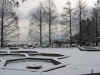 Resize of IMG_1615.JPG (83495 Byte)